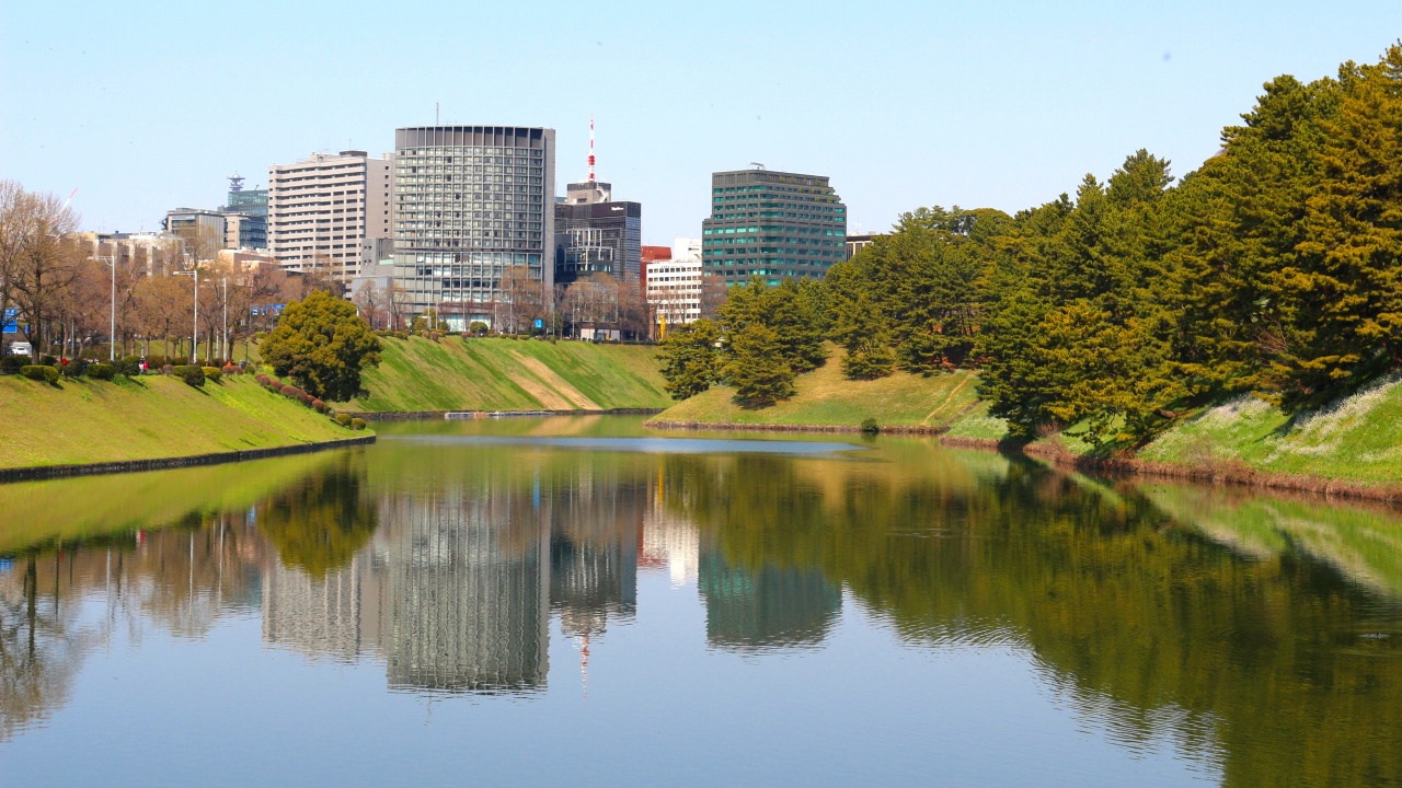 皇居の桜田濠(さくらだぼり)