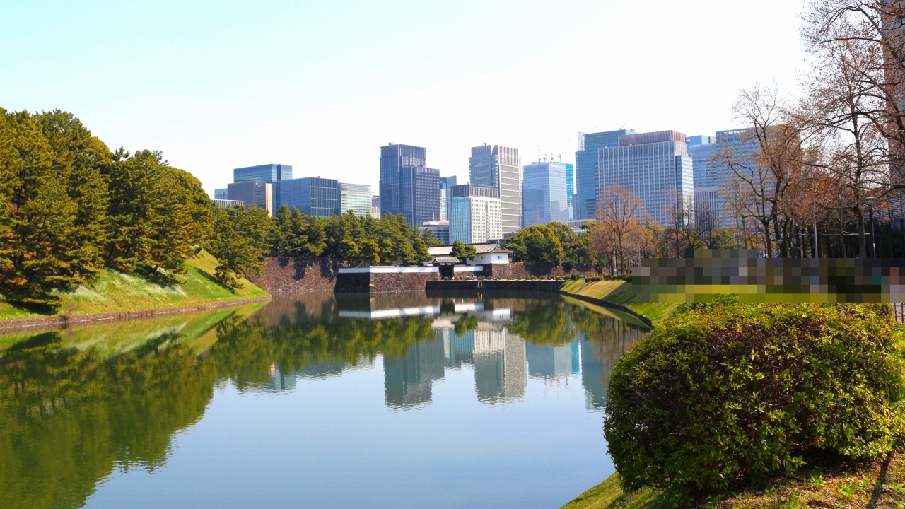皇居の桜田濠(さくらだぼり)