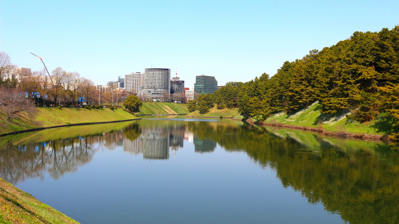 皇居の桜田濠(さくらだぼり)